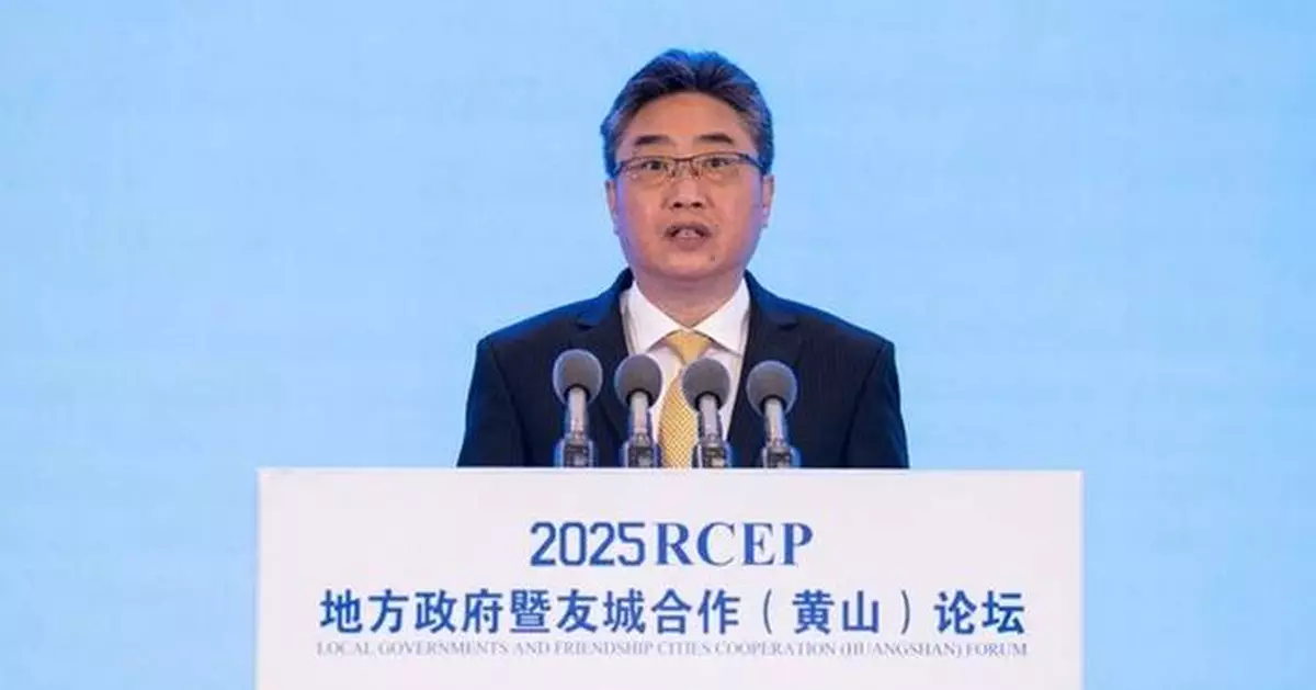 Xinhua Silk Road: RCEP accelerates regional development and boosts local cooperation, official