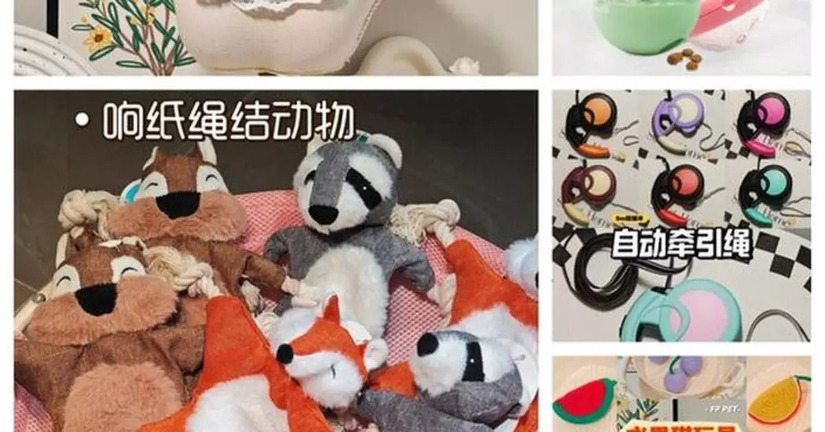 "Pet Economy" Booms: Yiwugo Provides One-Stop Access to 30,000+ Products