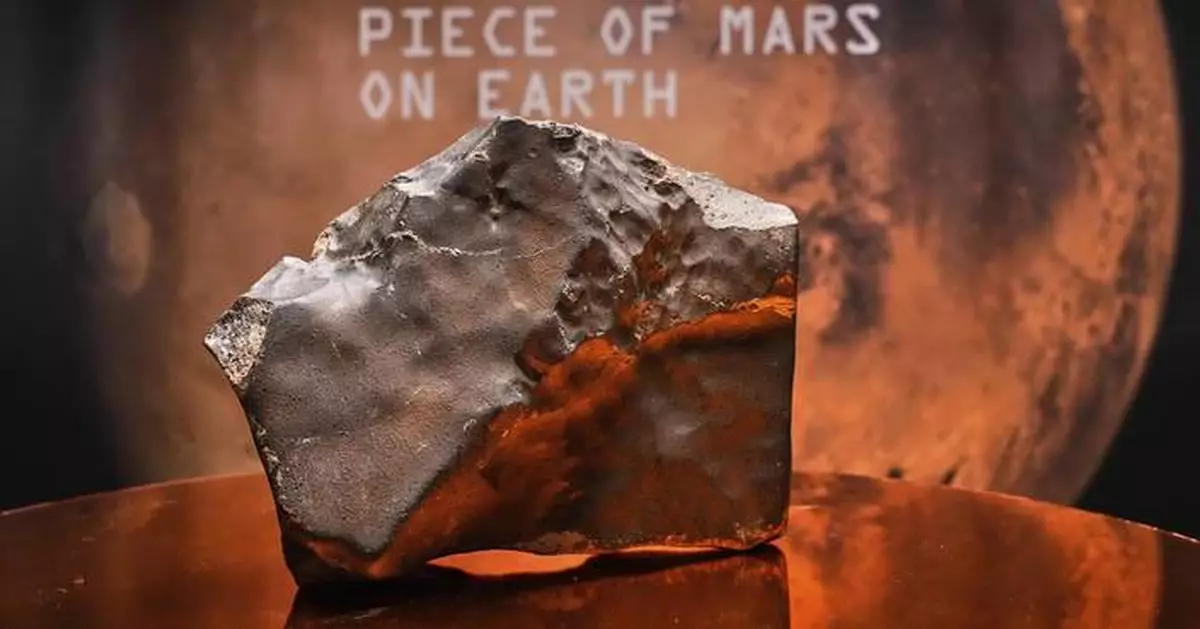 Largest piece of Mars on Earth fetches $5.3 million at auction, but young dinosaur steals the show
