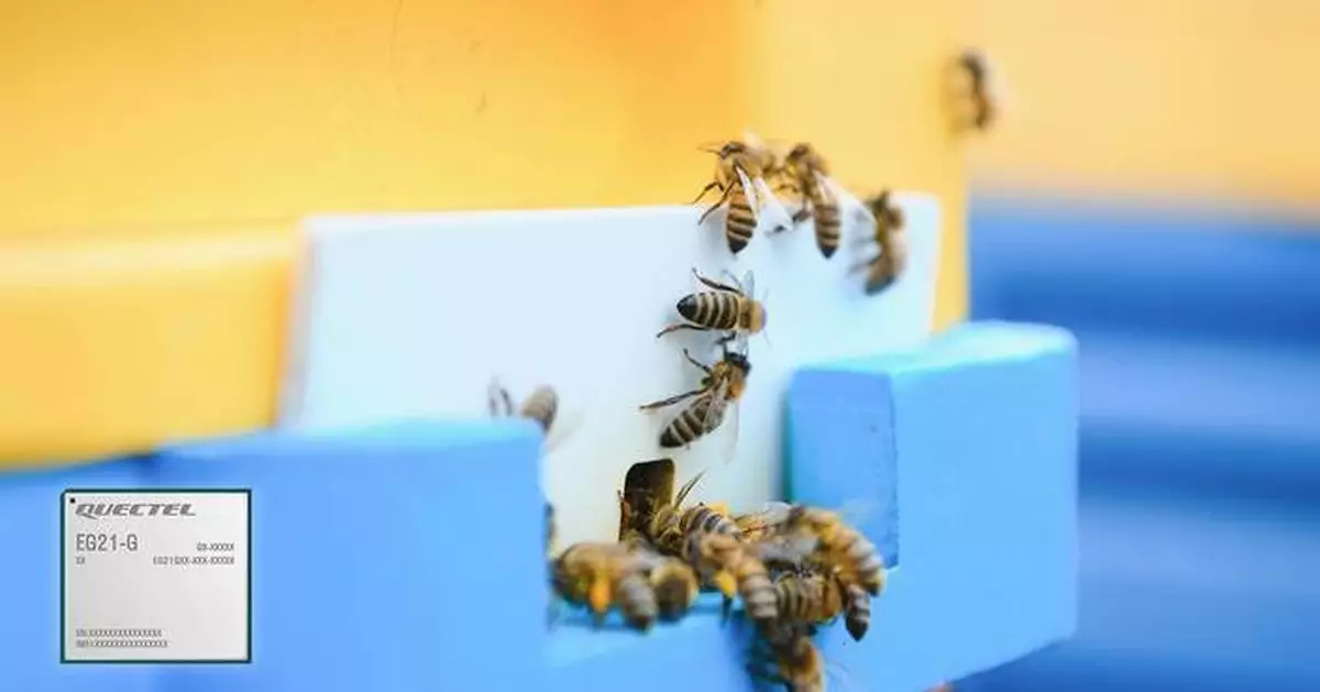 Apiary Master Gets Beekeepers Buzzing with Quectel EG21-Powered Direct to Cell Connectivity