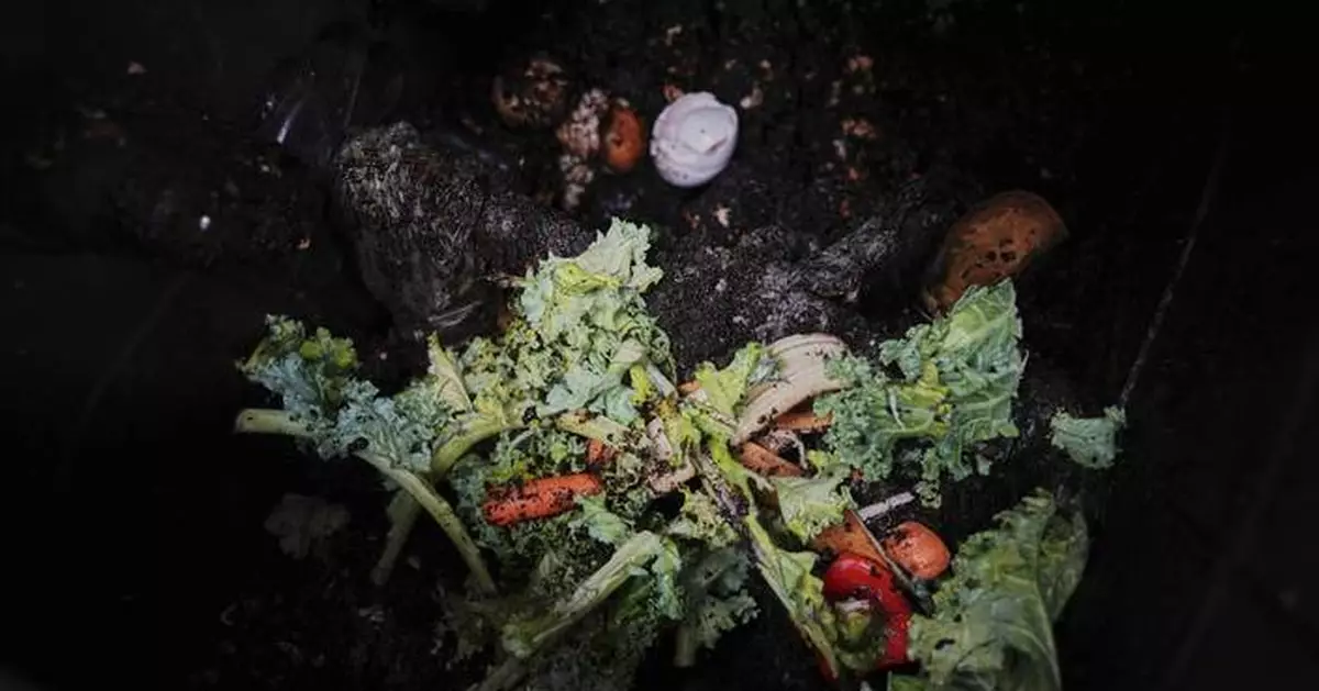 Composting helps the planet. This is how to do it, no matter where you live