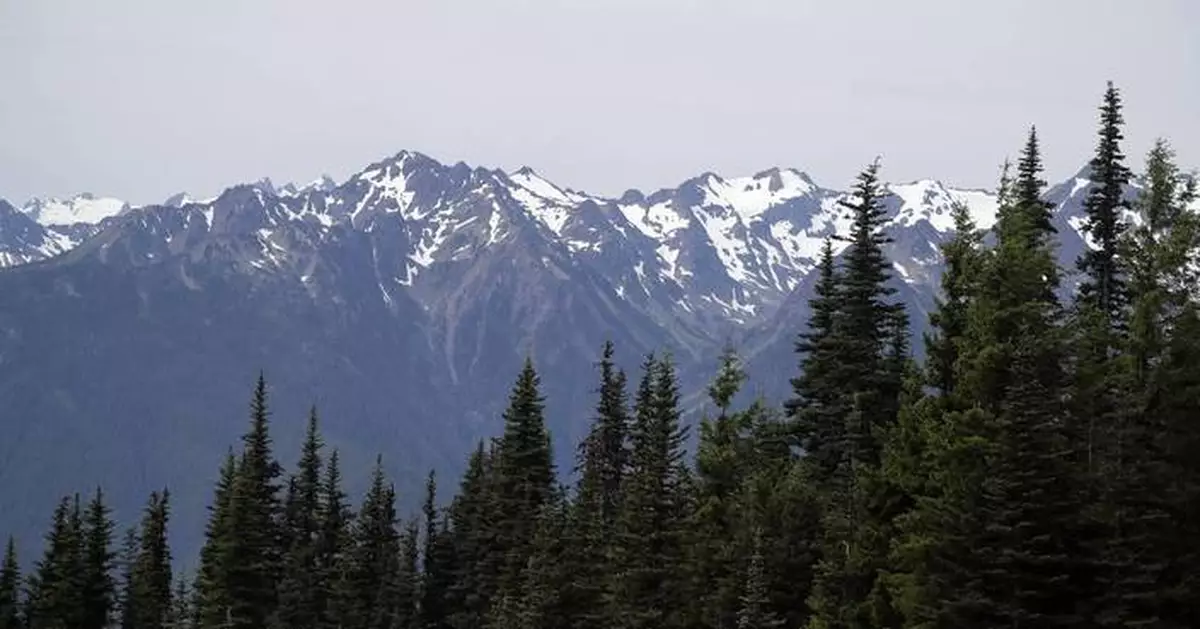 Mountain lion bites 4-year-old on popular Olympic National Park trail, injuring child