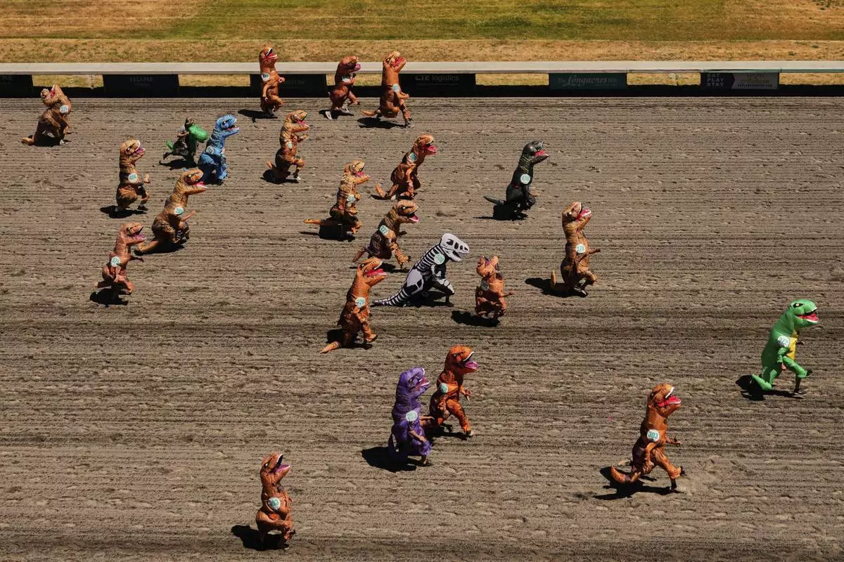 Racers take to the track during a preliminary heat during the "T-Rex World Championship Races" at Emerald Downs, Sunday, June 29, 2025, in Auburn, Wash. (AP Photo/Lindsey Wasson)