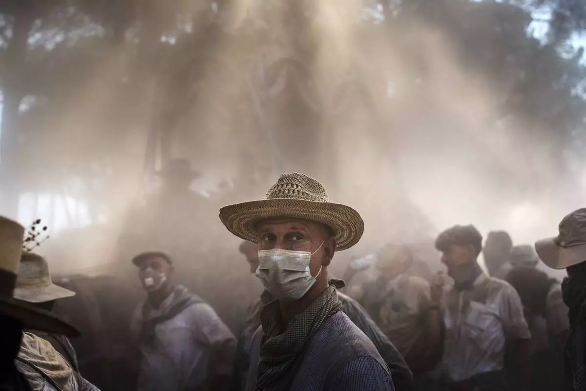 Pilgrims walk through dusty terrain near Aznalcazar, Spain, during the annual Catholic pilgrimage to the shrine of the Virgin of El Rocio, Friday, June 6, 2025. (AP Photo/Emilio Morenatti)