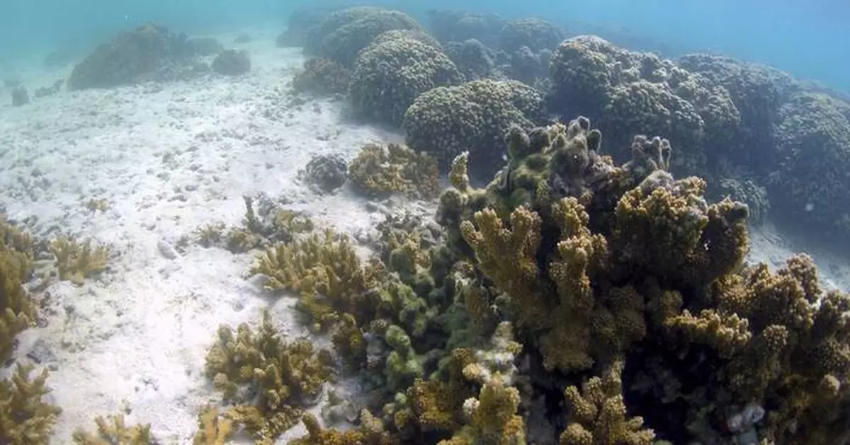 Honolulu's lawsuit against fossil fuel companies leads climate change legal fight