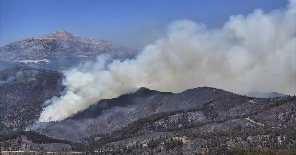 Syria's massive wildfires brought under control after days of intense battles