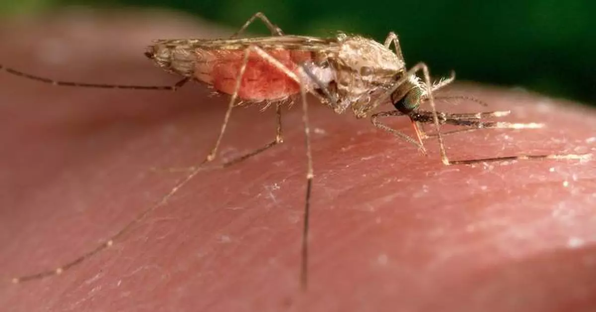 The first drug to treat infants sick with malaria is approved by Swiss authority