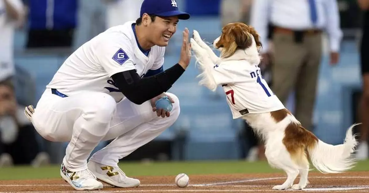 Shohei Ohtani co-writes children's book starring his dog Decoy