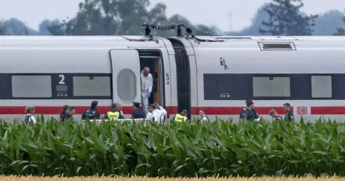 Police say a man injured 4 with a hammer on a German train before he was detained