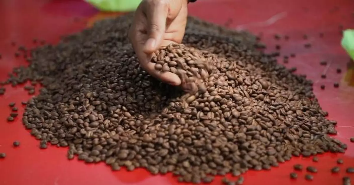 Ethiopia's coffee ready to take bigger market in China thanks to zero tariff treatment