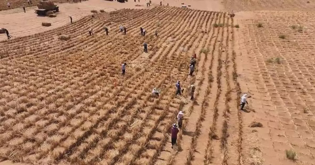 China completes sand-blocking barriers encircling three major deserts in Inner Mongolia