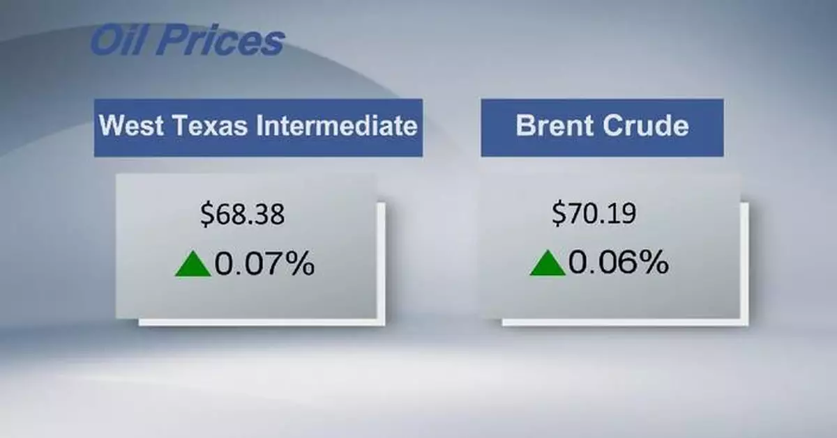 Crude futures settle higher
