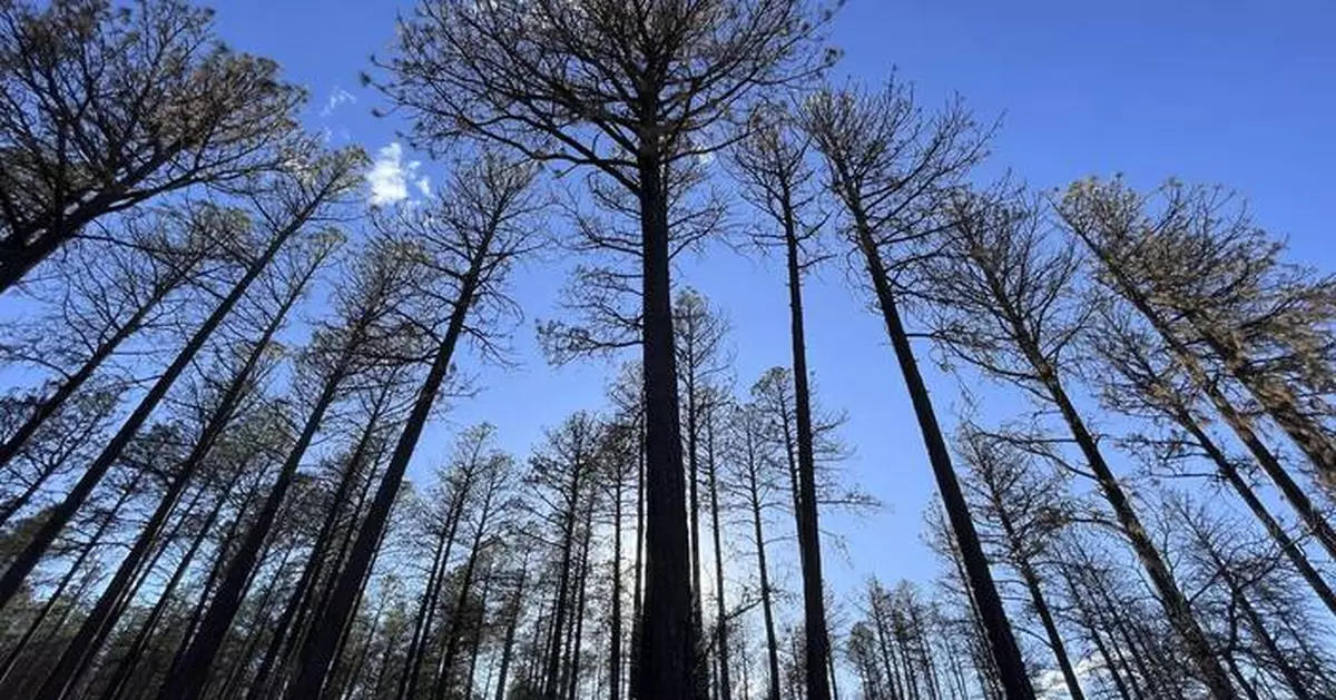 Grand Canyon blaze shows how managing a fire can go suddenly sideways