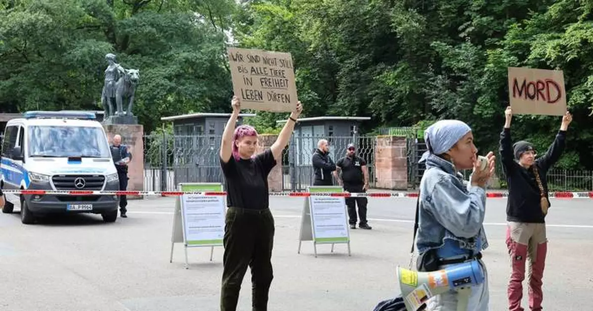 A German zoo faces a backlash after killing 12 healthy baboons