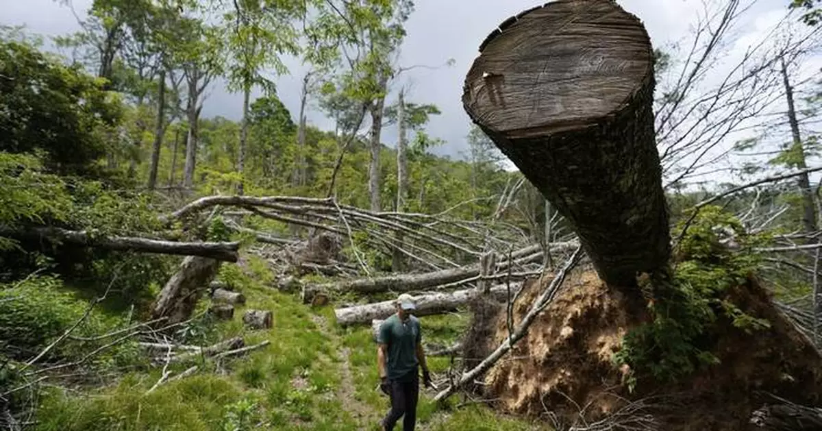 Volunteers repair damaged parts of Appalachian Trail by hand almost a year after Helene