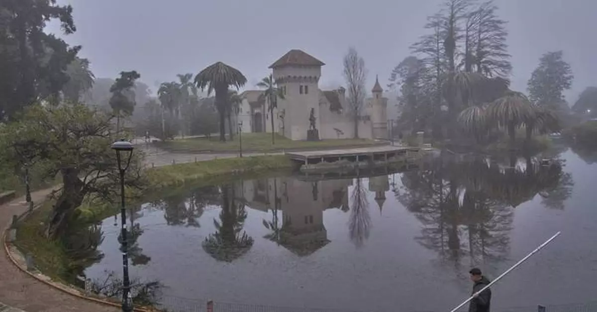 Uruguay confronts a powerful new threat to its palm trees: A tiny red bug