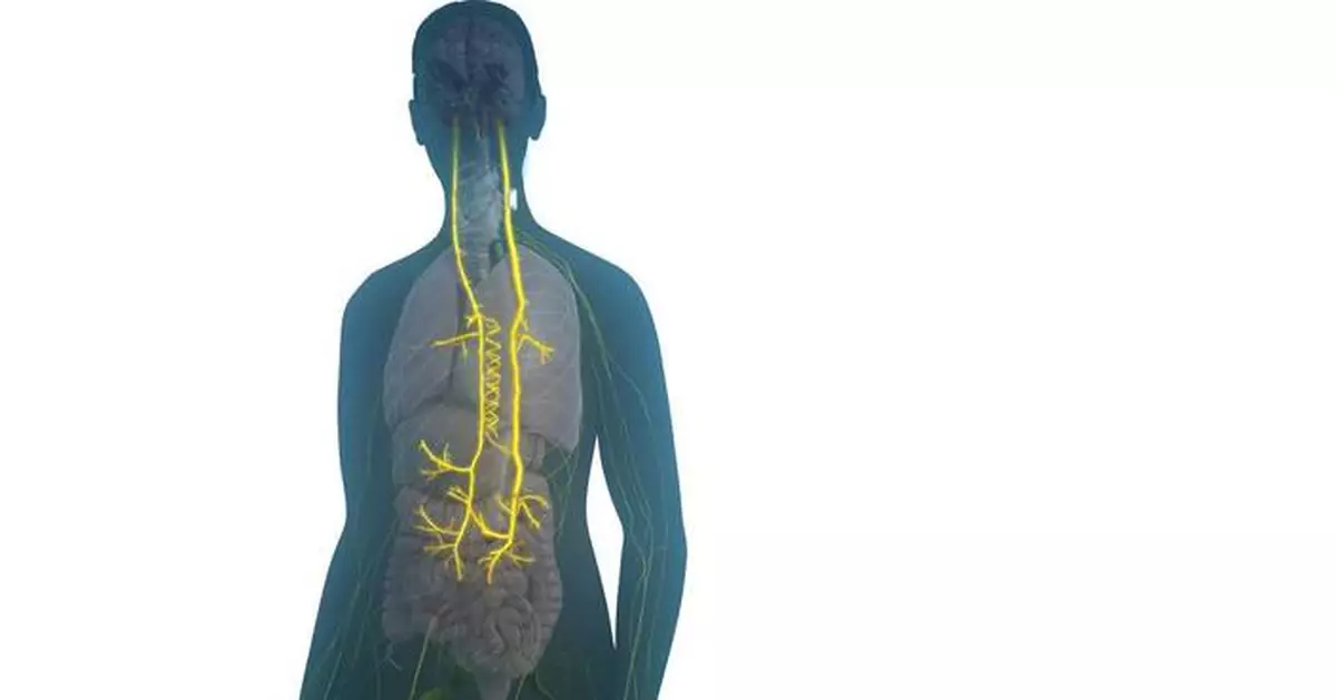 SetPoint Medical Receives FDA Approval for Novel Neuroimmune Modulation Therapy for Rheumatoid Arthritis