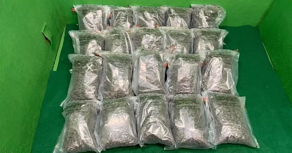 Hong Kong Customs Seizes 20 kg of Cannabis Buds at Airport, Arrests 20-Year-Old Passenger