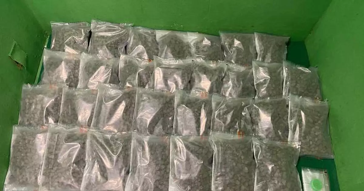 Hong Kong Customs Seizes 17kg of Drugs at Airport, Arrests Two Passengers