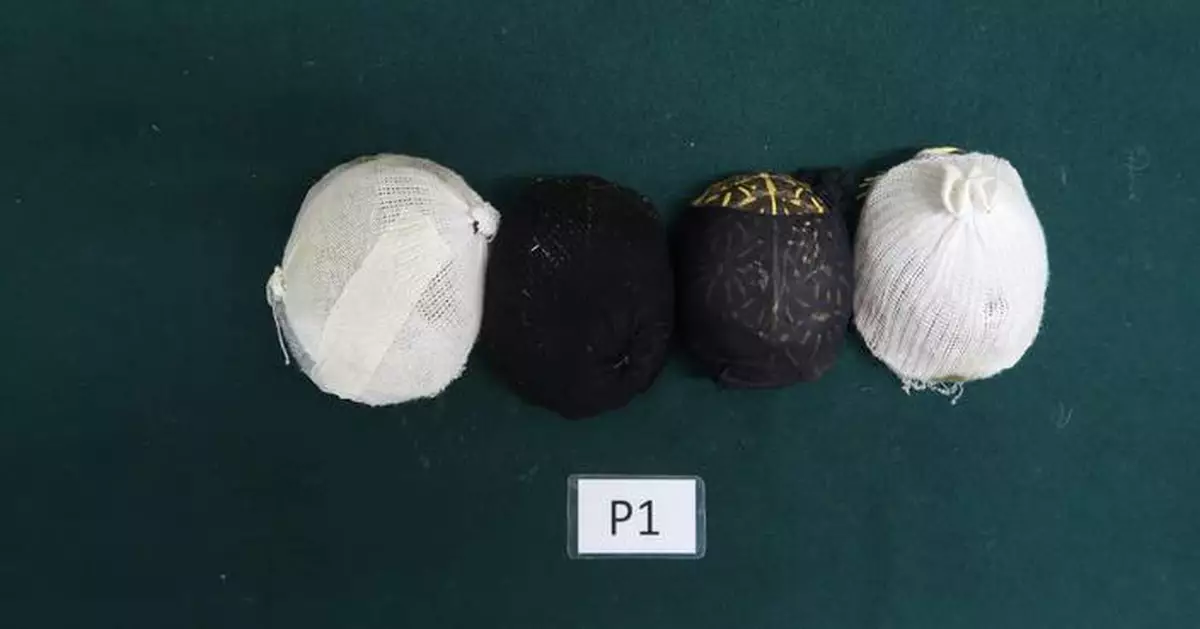 Passenger jailed for smuggling endangered turtles worth $40,000 at Hong Kong's Shenzhen Bay Control Point.