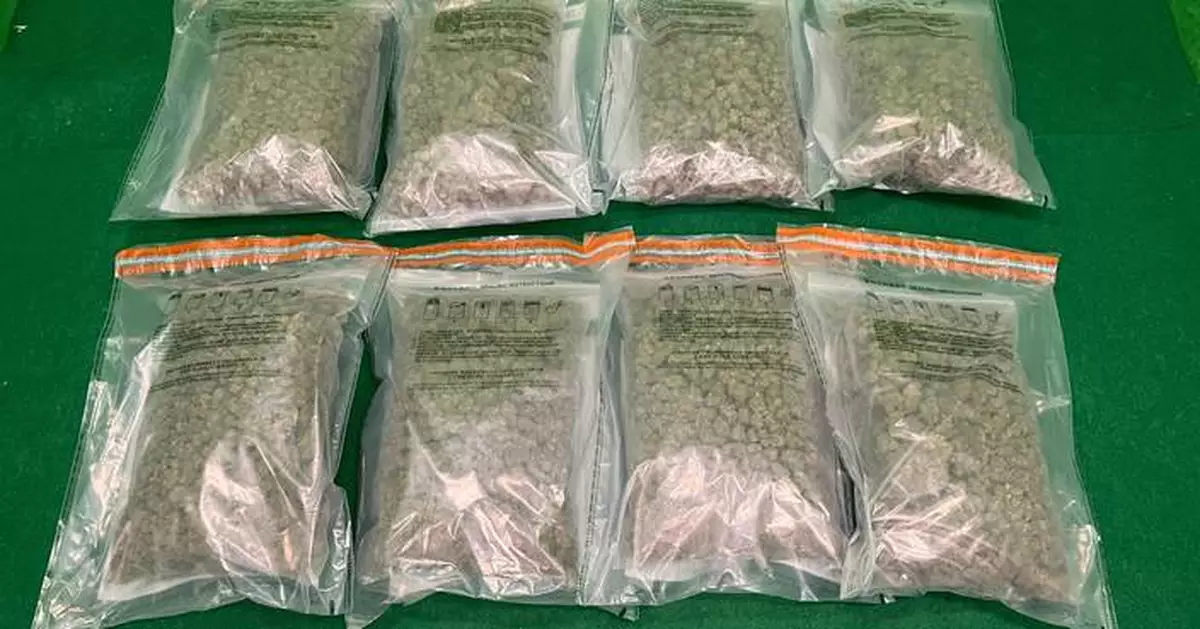 Hong Kong Customs Seizes 12 kg of Cannabis Worth $2.5 Million at Airport, Arrests Male Passenger