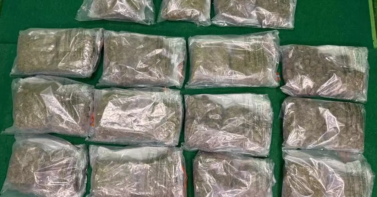 Hong Kong Customs Seizes 14kg of Cannabis at Airport, Arrests 34-Year-Old Passenger