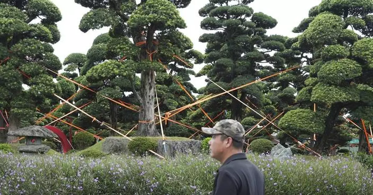 Heavy storms in northern Vietnam leave 1 dead, as Wipha weakens into a tropical depression