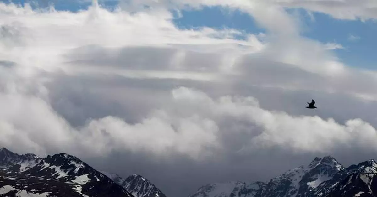 Officials search for a bear that attacked a hiker on a popular trail in Anchorage, Alaska