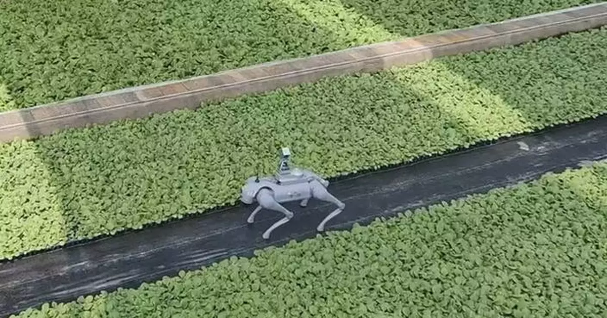 From Streets to Fields: Unitree's Go2 Steps into Smart Farming