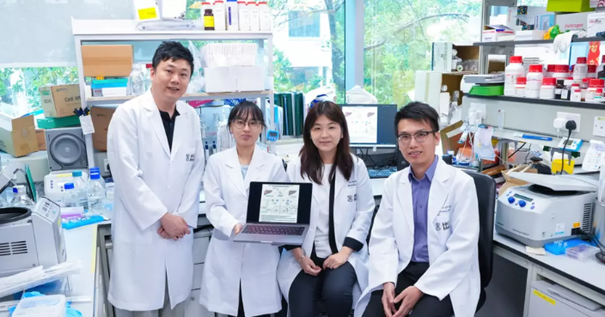 HKUMed identifies key protein in liver cancer resistance and develops inhibitor to enhance therapy and prevent cancer recurrence