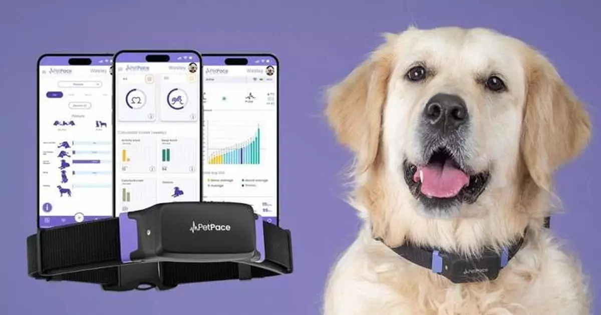 PetPace Responds to Whistle Shutdown with Exclusive Offer on PetPace Collar as a Smarter Solution for Health, Wellbeing and GPS Tracking