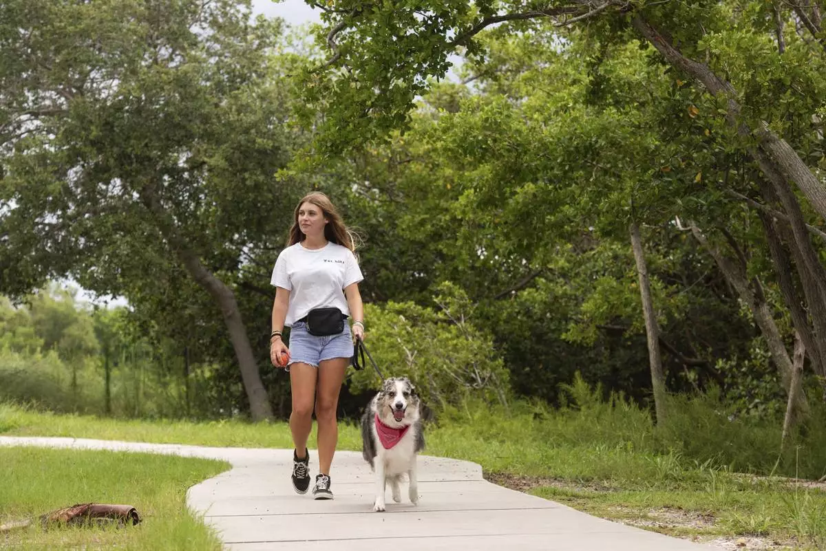 Sophie Nocera, 21, a senior at Eckerd College, walks with her dog Zuco on Wednesday, Aug. 20, 2025 in St. Petersburg, Fla. (AP Photo/Tina Russell)