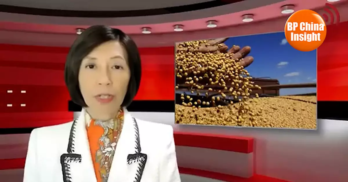 BP China Insight : U.S. Farmers Hit Again as China Buys Soybeans from Brazil, Argentina, and Uruguay