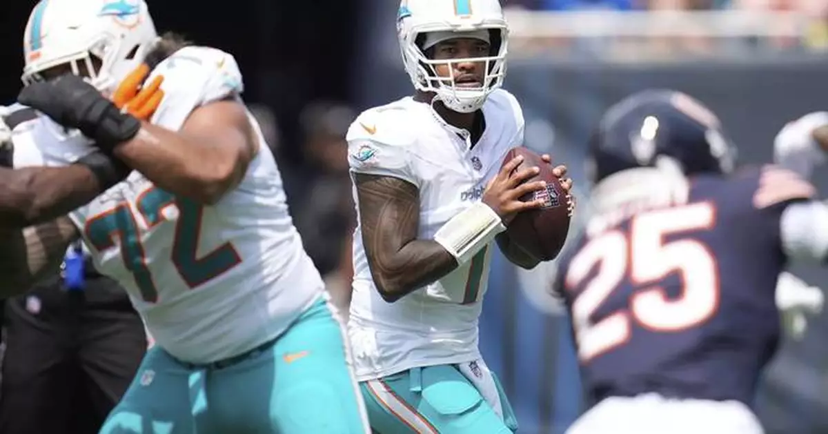 Dolphins, Bears finish in 24-24 tie in the preseason