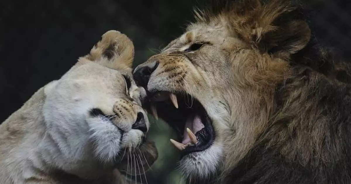 The top photos of the day by AP's photojournalists