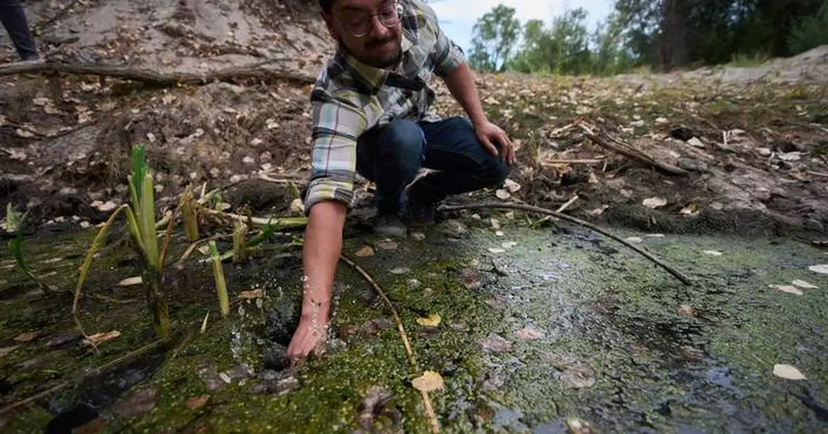 The call of a native frog is heard again in Southern California thanks to help from Mexico and AI