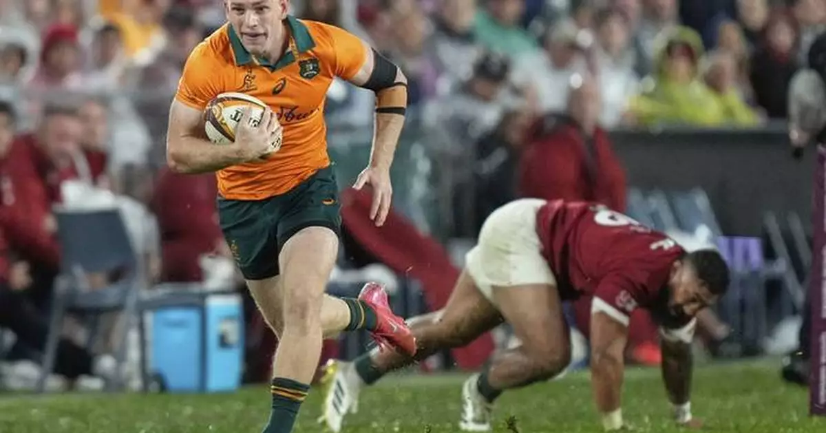 After the Lions: the Wallabies seek consistency in the Rugby Championship