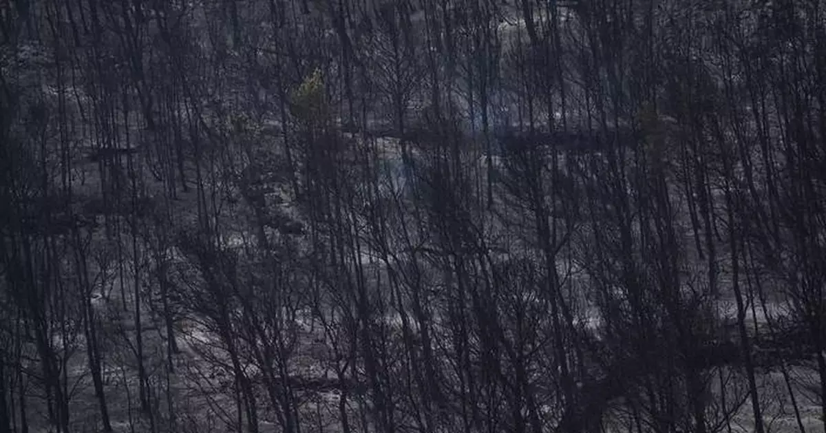 Firefighters battle to prevent reignition of France’s largest wildfire as residents return home