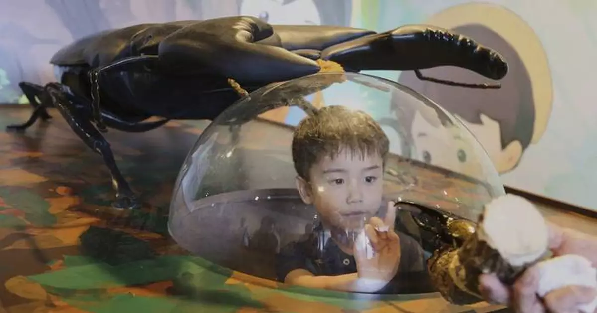 Bugs are popular pets in nature-loving Japan, buzzing with lessons about ecology and species