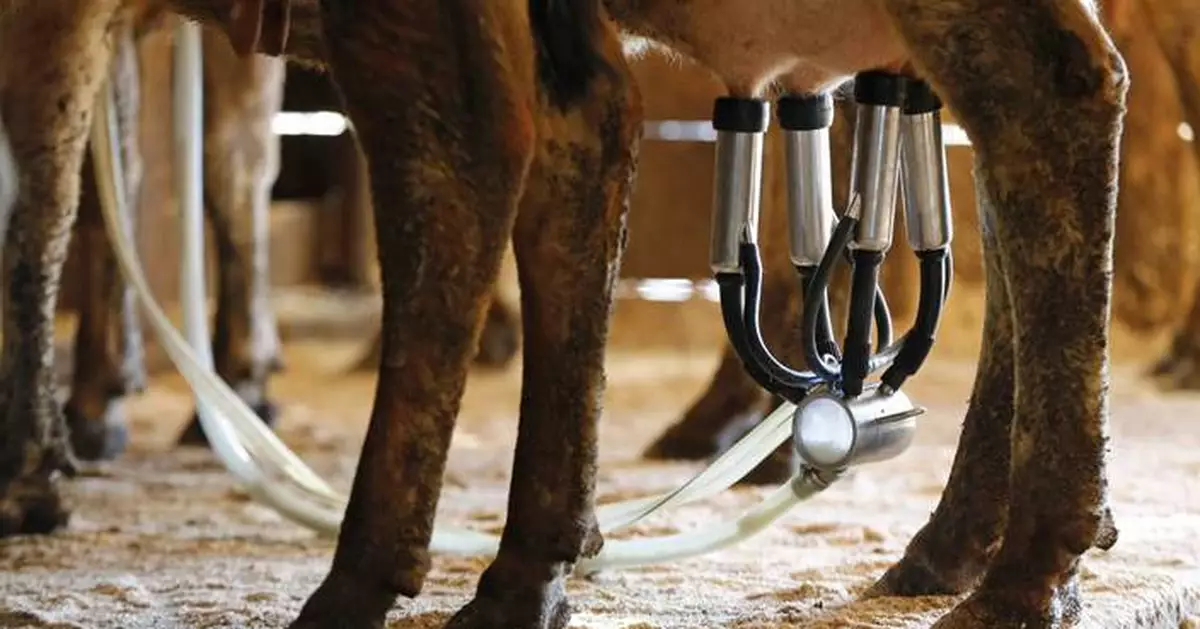 Florida farm identified as source of raw milk that sickened 21