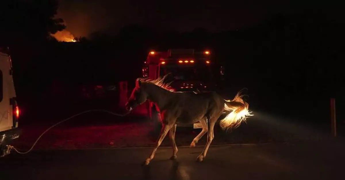 Photos of the scenes after Canyon Fire ignited