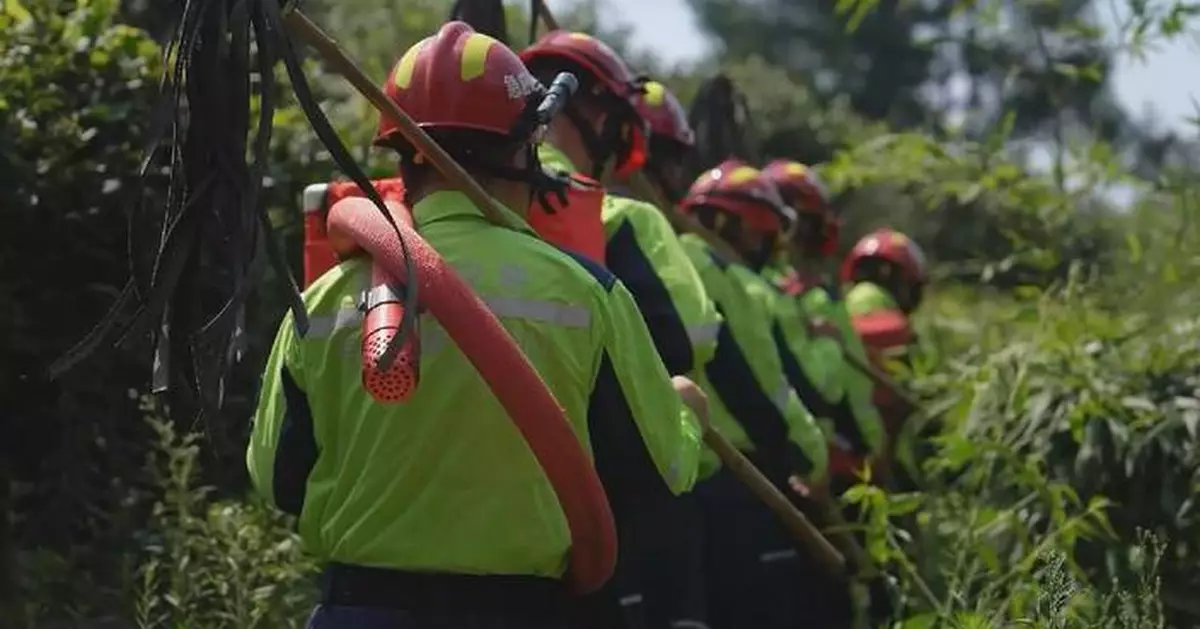 Chongqing intensifies efforts to prevent forest fires amid continuous high temperatures