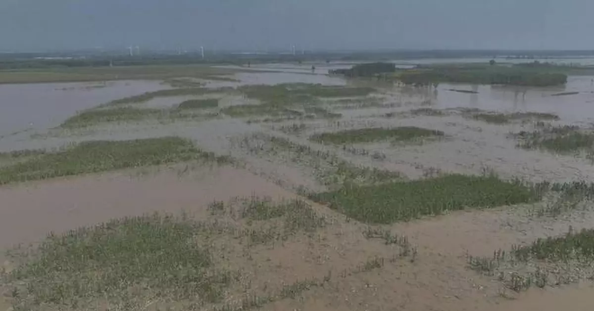 North China's Hebei races to aid farmers after floods