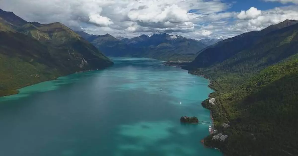 Xizang prioritizes eco-environment conservation: top regional official