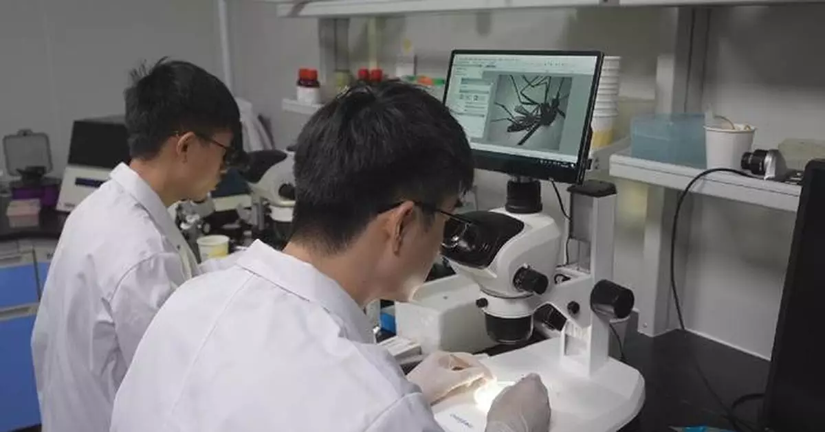 Guangdong steps up mosquito control amid Chikungunya outbreak