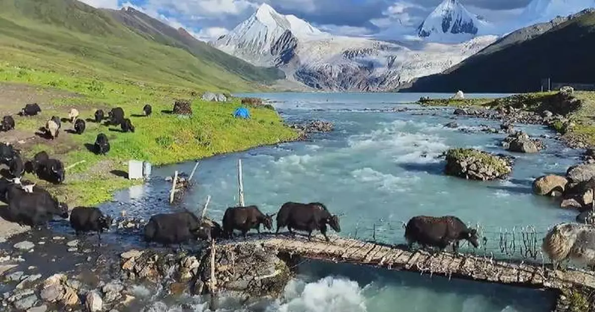 Eco-tourism boom turns Xizang’s isolated landscapes into thriving economic hubs
