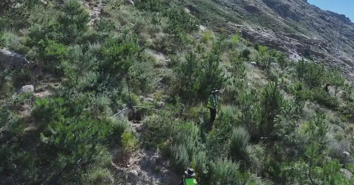 Afforestation efforts create a green city in Lhasa