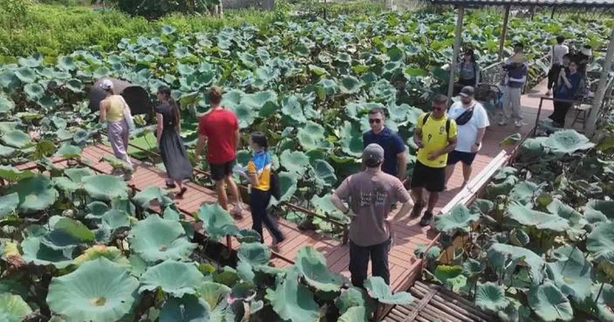 Exploring local life in rural China gains popularity among int'l tourists
