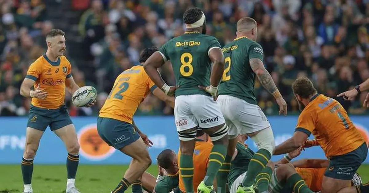 Erasmus makes 10 changes to Springboks lineup after shocking Rugby Championship loss to Australia