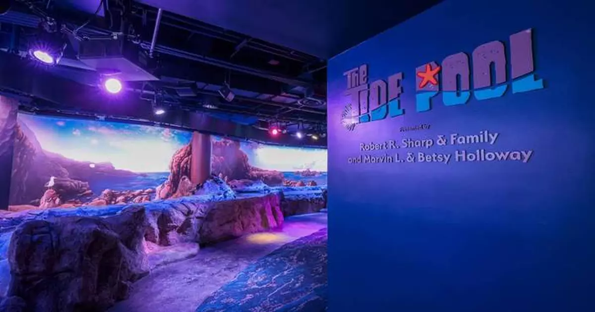A New Wave of Wonder: The Florida Aquarium Unveils The Tide Pool
